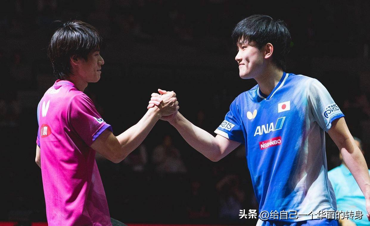 开云体育官网-关于波兰队横扫韩国队，张本智和关键制胜的信息