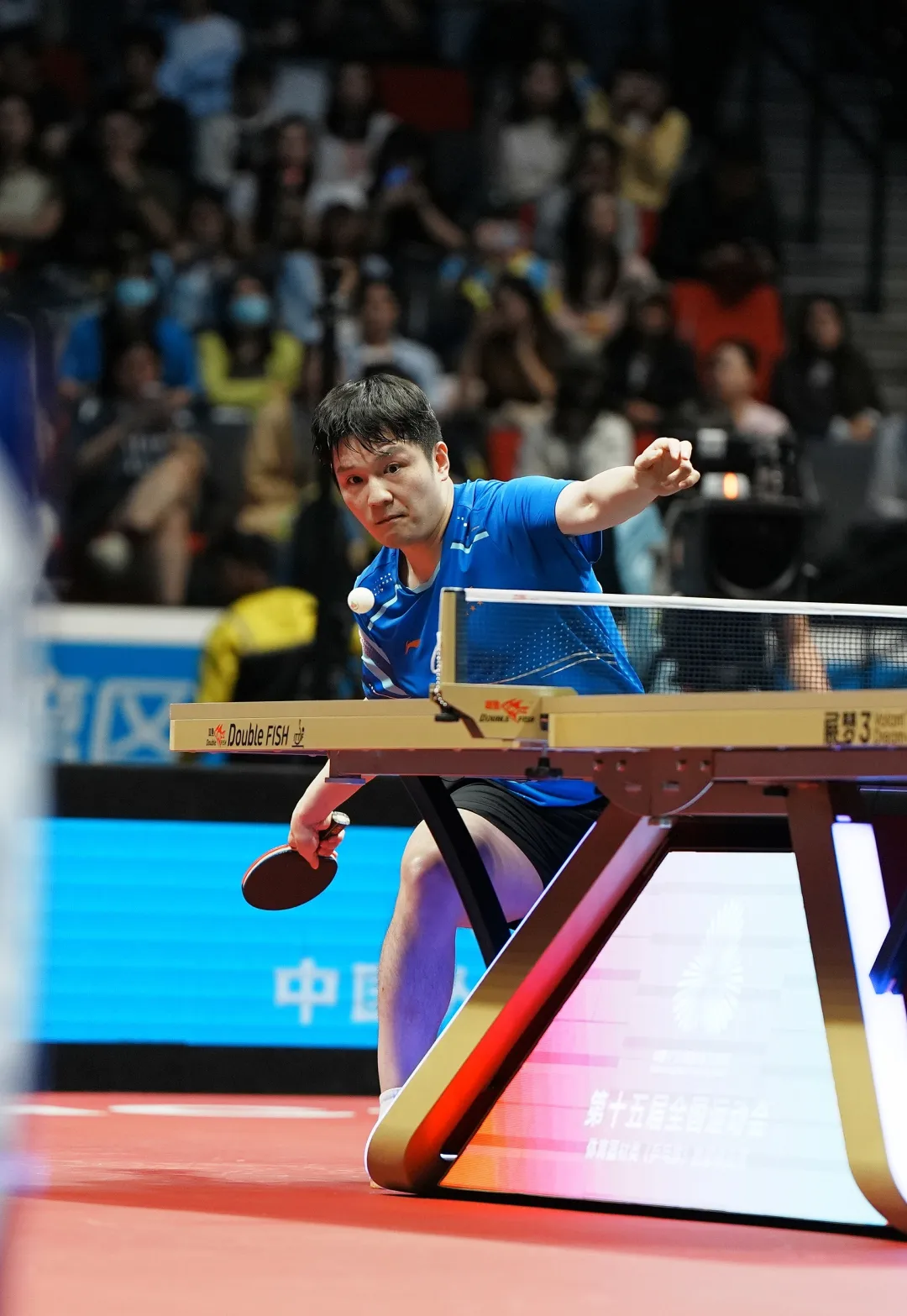 包含奥地利队轻取英格兰队，樊振东惊艳四座的词条