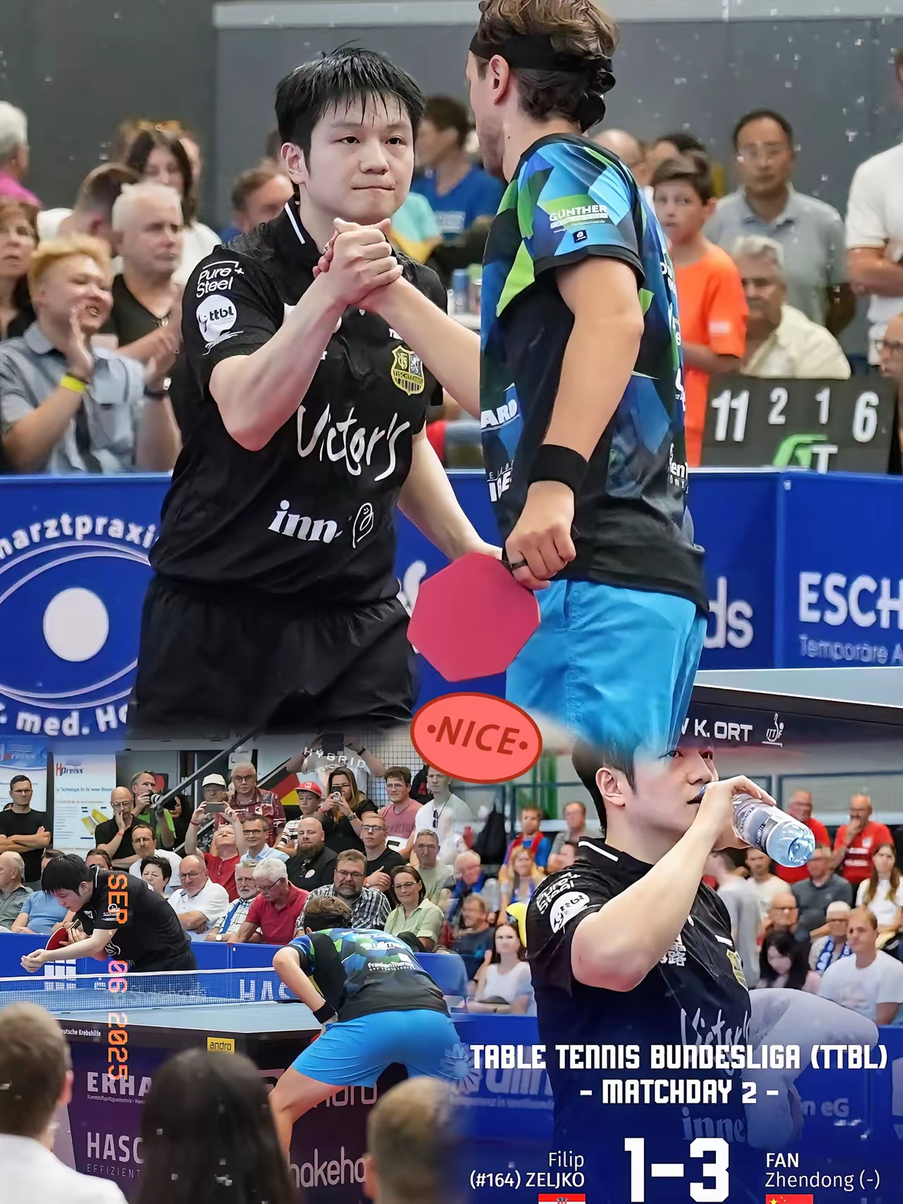 开云下载-法国队碾压中国队，樊振东带队取胜