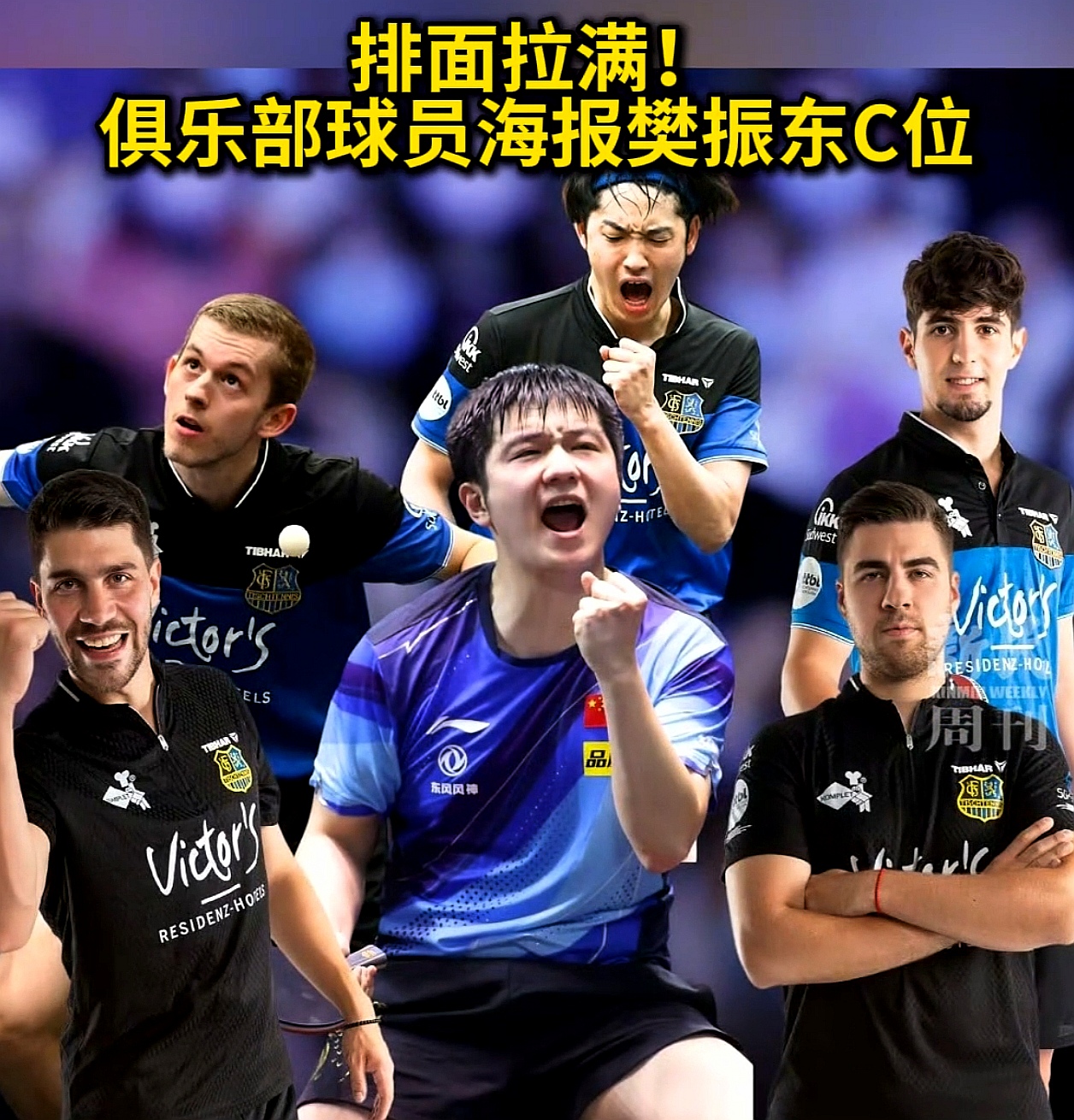 瑞典队绝杀德国队，樊振东统治全场的简单介绍