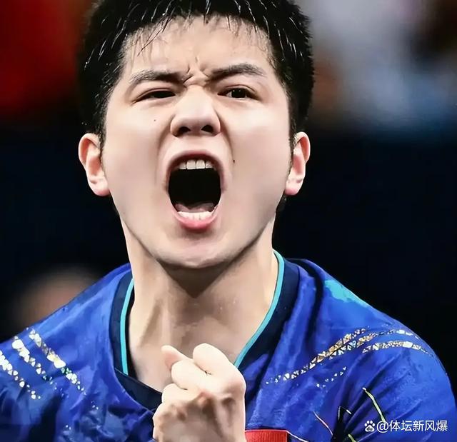 瑞典队力克德国队，樊振东点燃赛场